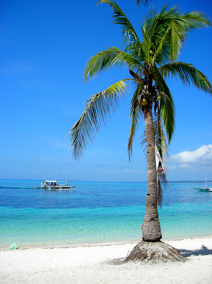 Island paradise
