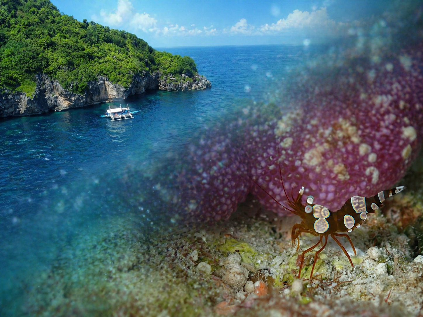 Gato Island dive site